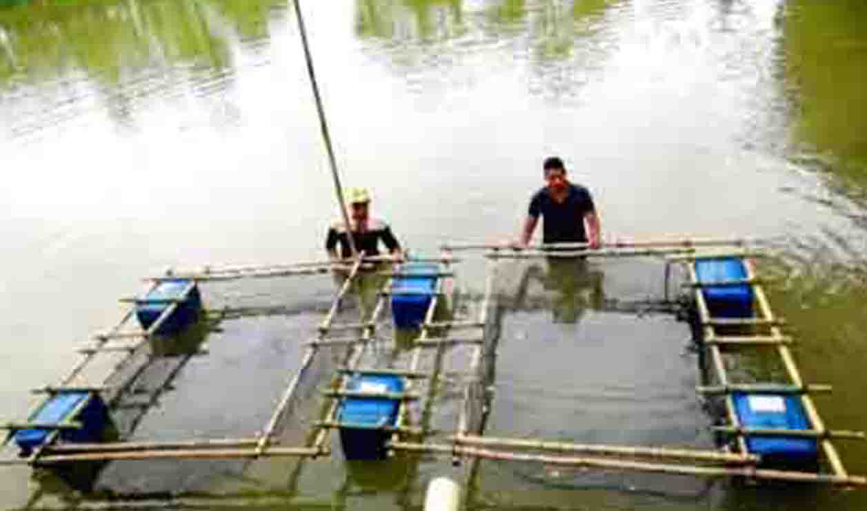 Water Quality Testing -fishtech bd